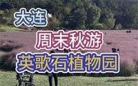 大连英歌石植物园，风景如画