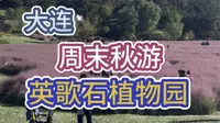 大连英歌石植物园，风景如画