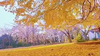 南雄帽子峰旅游景区