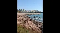 ＃青岛燕儿岛智慧公园