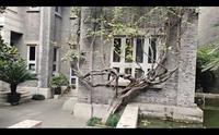 潘天寿故居