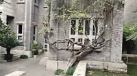 潘天寿故居