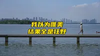 武大新凌波门变身能跳水的海水浴场