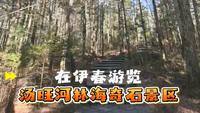 在伊春游览汤旺河林海奇石景区 #俞你同行