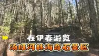 在伊春游览汤旺河林海奇石景区 #俞你同行