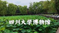 四川大学博物馆