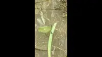 船游绍兴镜湖国家城市湿地公园
