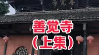 四川峨眉山景区善觉寺降解（上集）#峨眉山旅游攻略 #峨眉山善觉寺 #寺庙 #兰花 #旅游 #旅游推荐 #峨眉山导游  #人文历史 #风景区