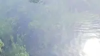 济南环城公园