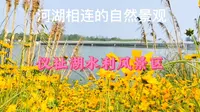 错峰半月后游仪祉湖水利风景区，现状如何？