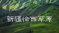 能打败新疆美景的只有新疆｜不 真 实｜暴雨后我在恰西草原玩疯了