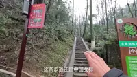 到郴州第3天，爬一爬苏仙岭，山顶雾气好大，像蓬莱仙境