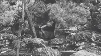承德避暑山庄文津阁