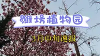 潍坊植物园可以赏花啦！这么多花都可以看了，但还有一种花没开