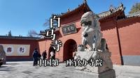中国第一座官办寺院，白马寺，传说中的《四十二章经》就藏在这里