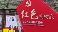 梅树底景区。