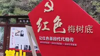 梅树底景区。