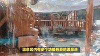 打卡玉溪映月潭：体验温泉文化，品味云南美食！