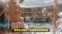 打卡玉溪映月潭：体验温泉文化，品味云南美食！