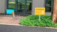上海【东平国家森林公园】游记