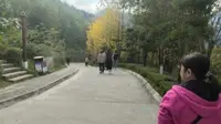 岚皋巴山珍稀植物园