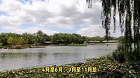 北京龙潭公园旅游攻略