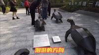 广东惠东海龟国家级自然保护区海龟湾洄游的方向雕塑