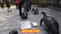 广东惠东海龟国家级自然保护区海龟湾洄游的方向雕塑