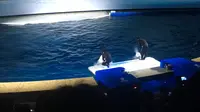 2017年12月30日上海长风海洋馆