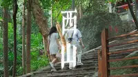 三月三不知道去哪玩？那就来桂平西山吧！主播带你游贵港，畅游通票帮你省！