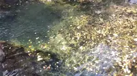 好山好水，祥龙谷一日游，流连忘返