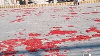 今天我去了龙口动植物园