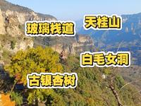 天桂山有白毛女洞，有八百多年的古银杏树，有免费开放的玻璃栈道