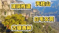 天桂山有白毛女洞，有八百多年的古银杏树，有免费开放的玻璃栈道