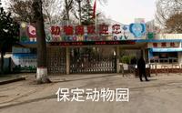 保定动物园，门票10元，带大家参观！