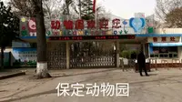 保定动物园，门票10元，带大家参观！