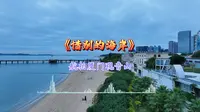 航拍厦门观音山海边沙滩