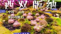 【版纳攻略15】中科院植物园的套路就是带你绕路