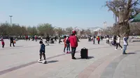 熊猫带你云旅游-保定植物园1