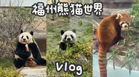 Vlog｜福州熊猫世界的第一波游客～