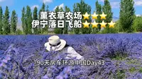 解忧公主薰衣草农场，不来后悔，来了也后悔