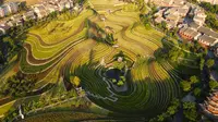 贵州奢香古镇，全国唯一的城中花海梯田，美得让人流连忘返