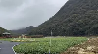 去年广州石门森林公园游记