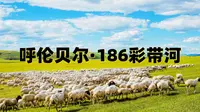 呼伦贝尔186彩带河，飞云之下蓝色的玉带