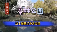38 上海金山 亭林公园 这个湖藏了多少宝贝