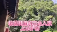 中国核桃之乡三台深山里的上水炉村，家家户户依山傍水，溪水门前流，小桥独一家。#核桃之乡三台#核桃森林公园#山野自然#大山深处的农家别院